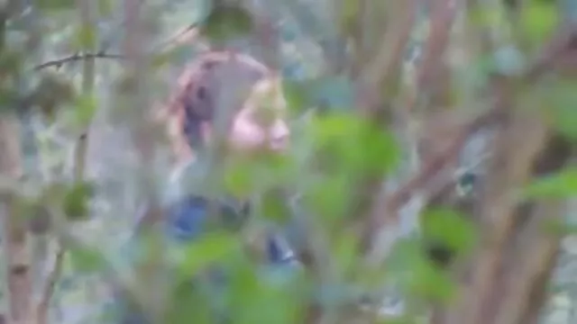 Nudité sex video mere publique brune chaude