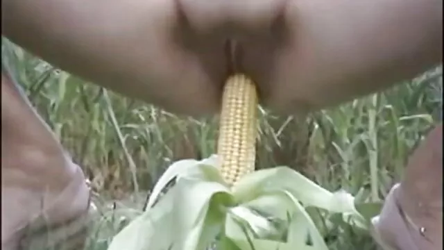 Couple excité ayant des relations sexuelles dans la forêt maman sex xxx